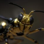 Yellowjacket