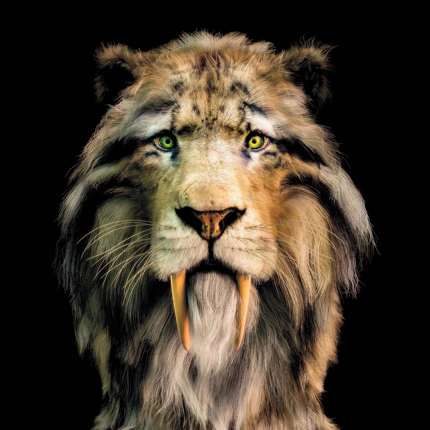 smilodon_neu_01_ps-2000_2022_02